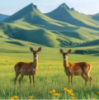 WWW,se440·COM网站APP WWW,se440·COM网站APP