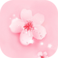91破解版APP应用