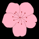 WWW,se477·COM网站APPAPP应用